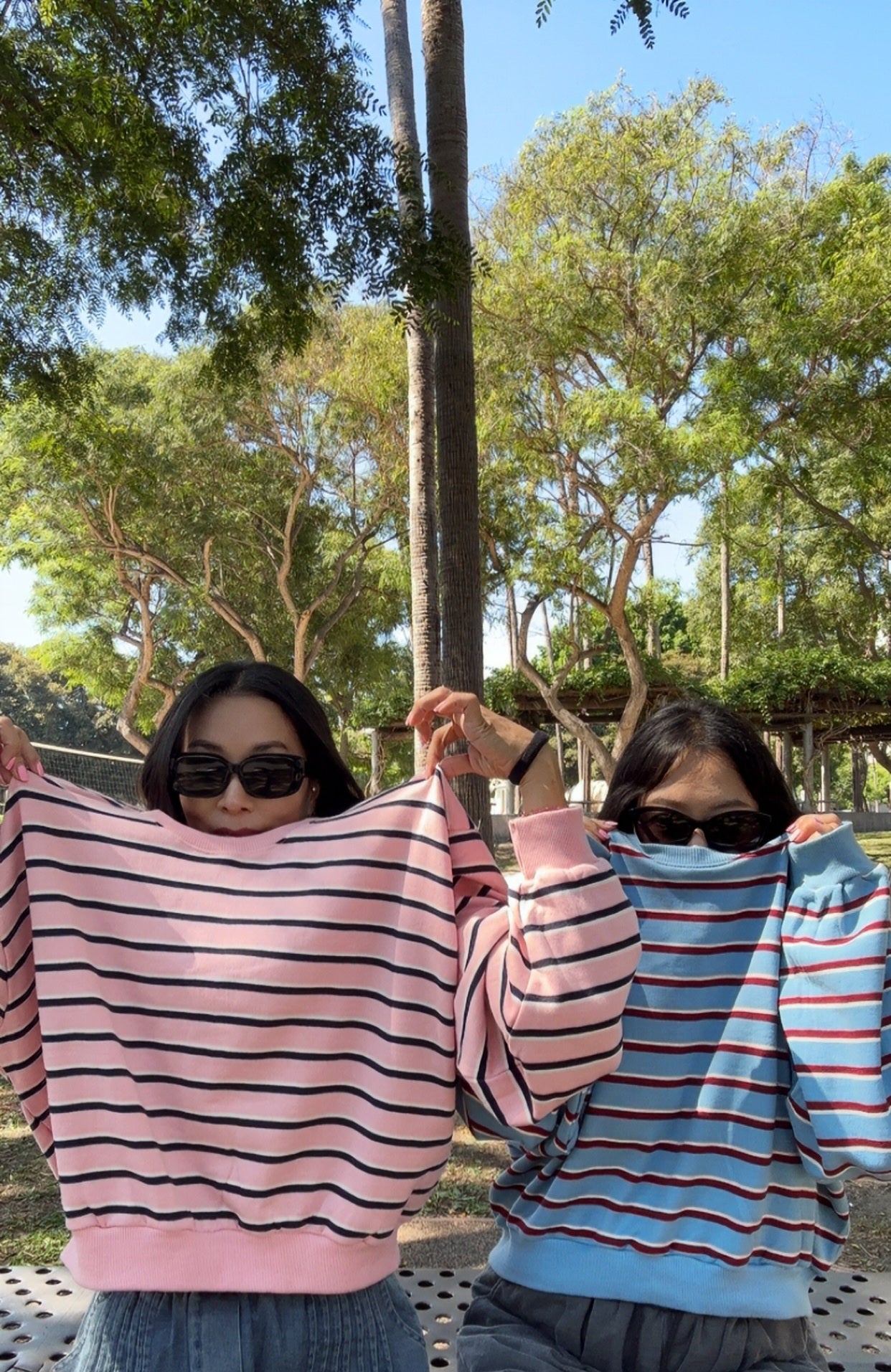 Pastel Stripe Sweatshirt